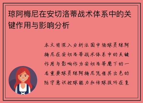 琼阿梅尼在安切洛蒂战术体系中的关键作用与影响分析